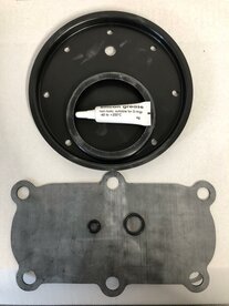  Dichtungssatz f&uuml;r TAV &auml;hnlich Tyco DPV-1, DN100