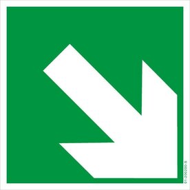 rettungszeichen-aufwaerts-abwaerts-bgv-a8-e02-1