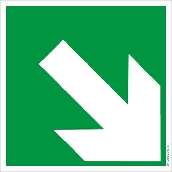 rettungszeichen-aufwaerts-abwaerts-bgv-a8-e02-1