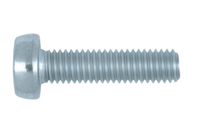 SHR-FLKPF-ISO14583-4.8-TX45-A2K-M8X100 - ISO 14583 Stahl 4.8 verzinkt - Inhalt: 50 Stück
