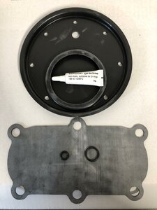  Dichtungssatz für TAV ähnlich Tyco DPV-1, DN100