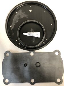  Dichtungssatz für TAV ähnlich Tyco DPV-1, DN150