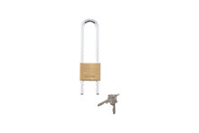 Vorhängeschloss Magno Flex - VORHAENGSHLO-MAGNO-FLEX-MS-50MM - Inhalt: 1 Stück