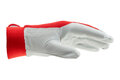 Schutzhandschuh Protect SHTZHNDSHH-LEDER-PROTECT-GR9
